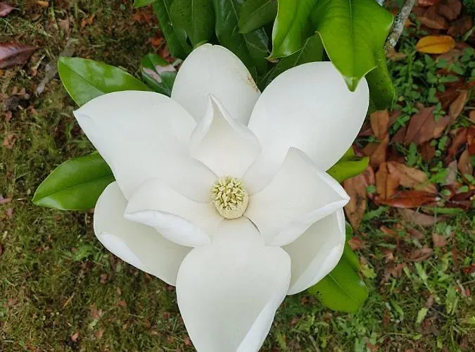 بيت ضيافة Eva Des Landes Rion-Des-Landes